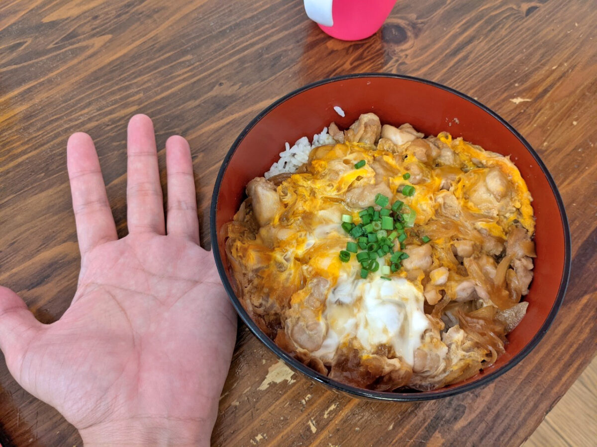 親子丼大きさ