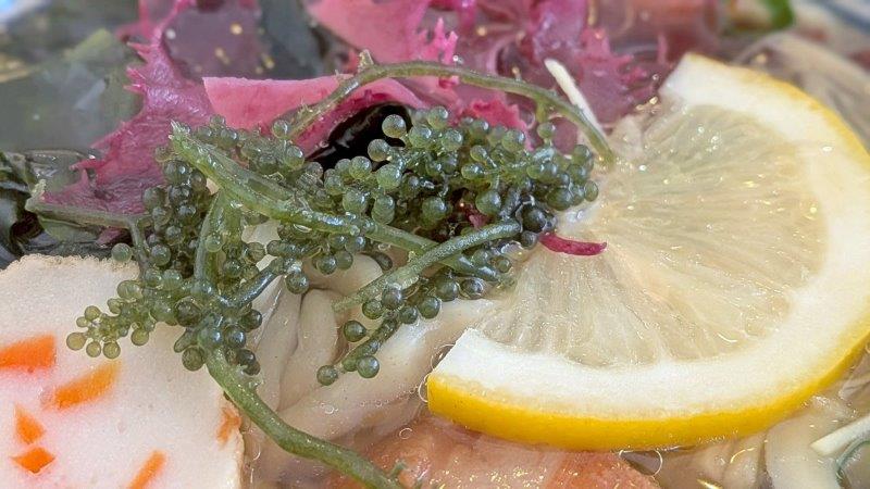 海ぶどう