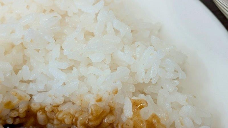 ごはん