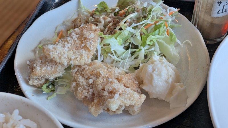 唐揚げとサラダ