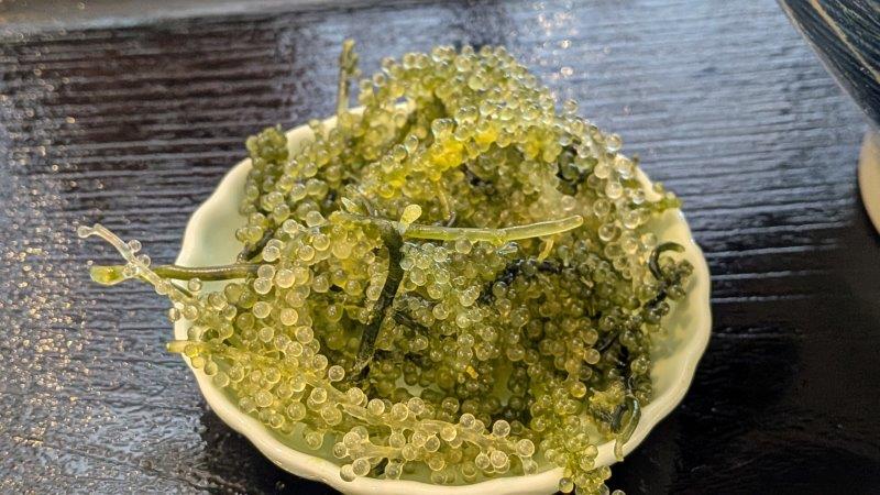 海ぶどう