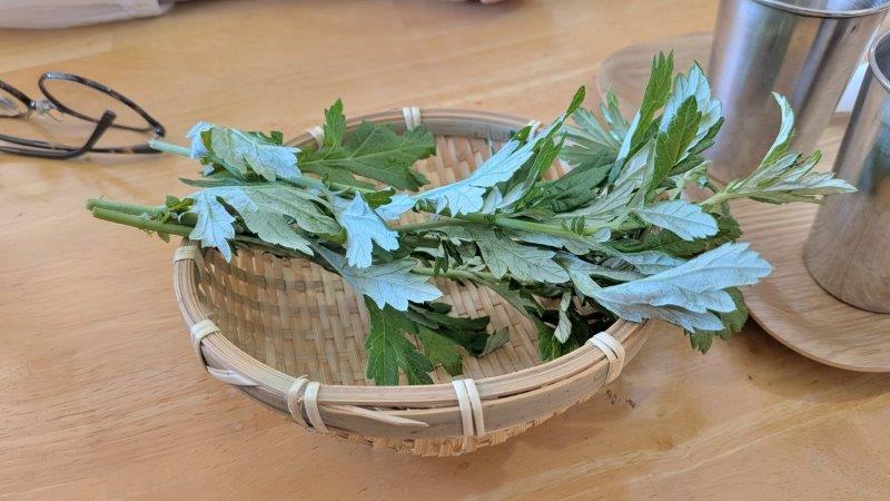 フーチバー