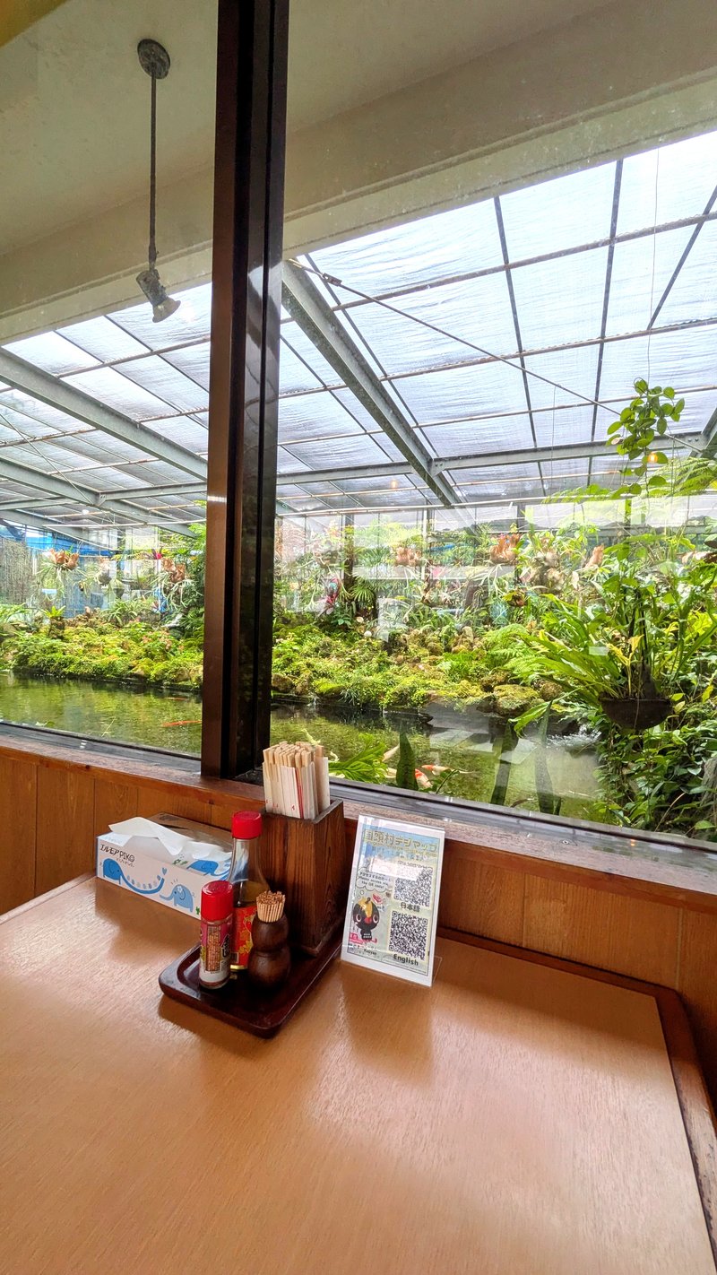 やまびこ 店内 窓 錦鯉 庭